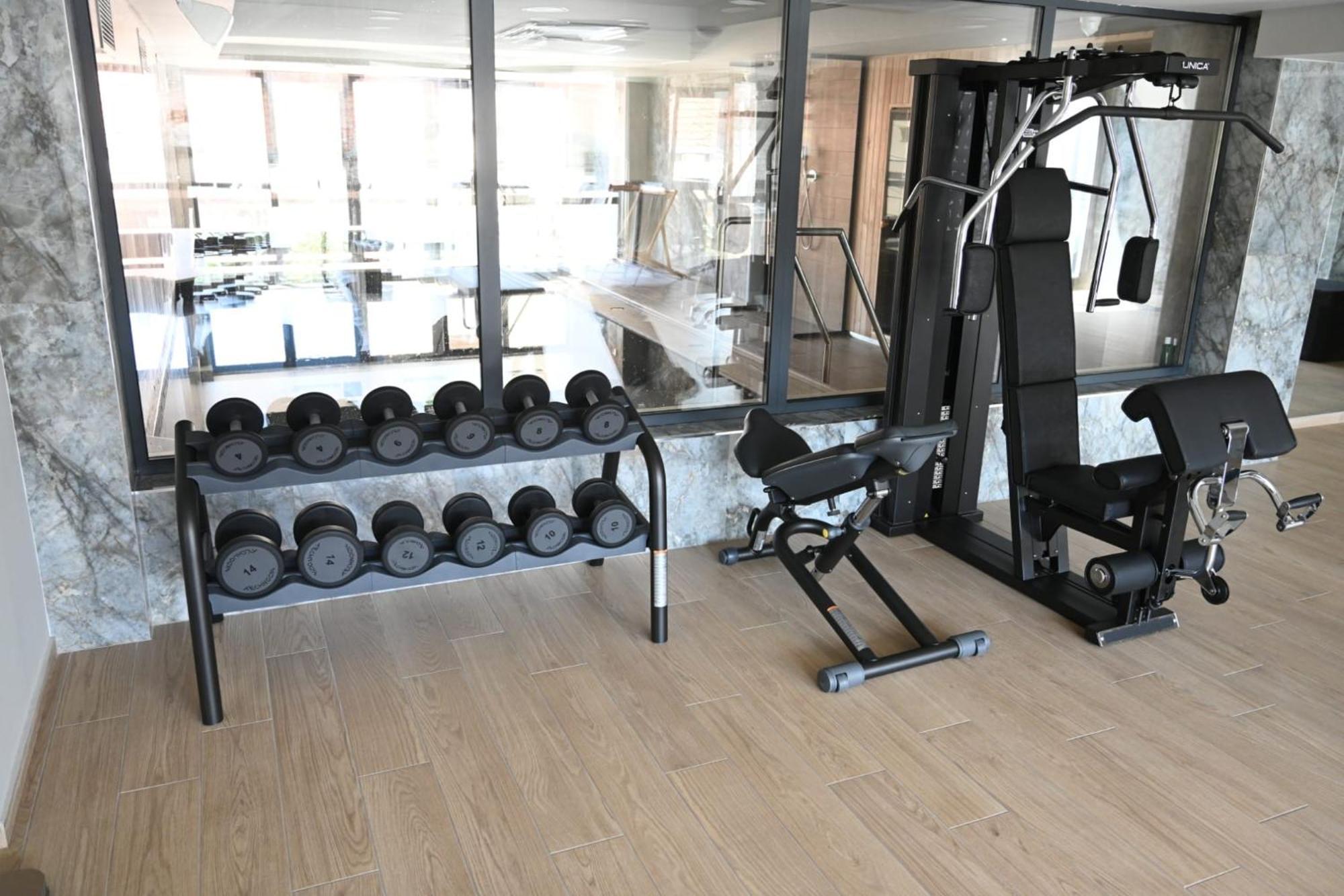 Aniroc Signature Hotel Arad Exteriér fotografie A gym